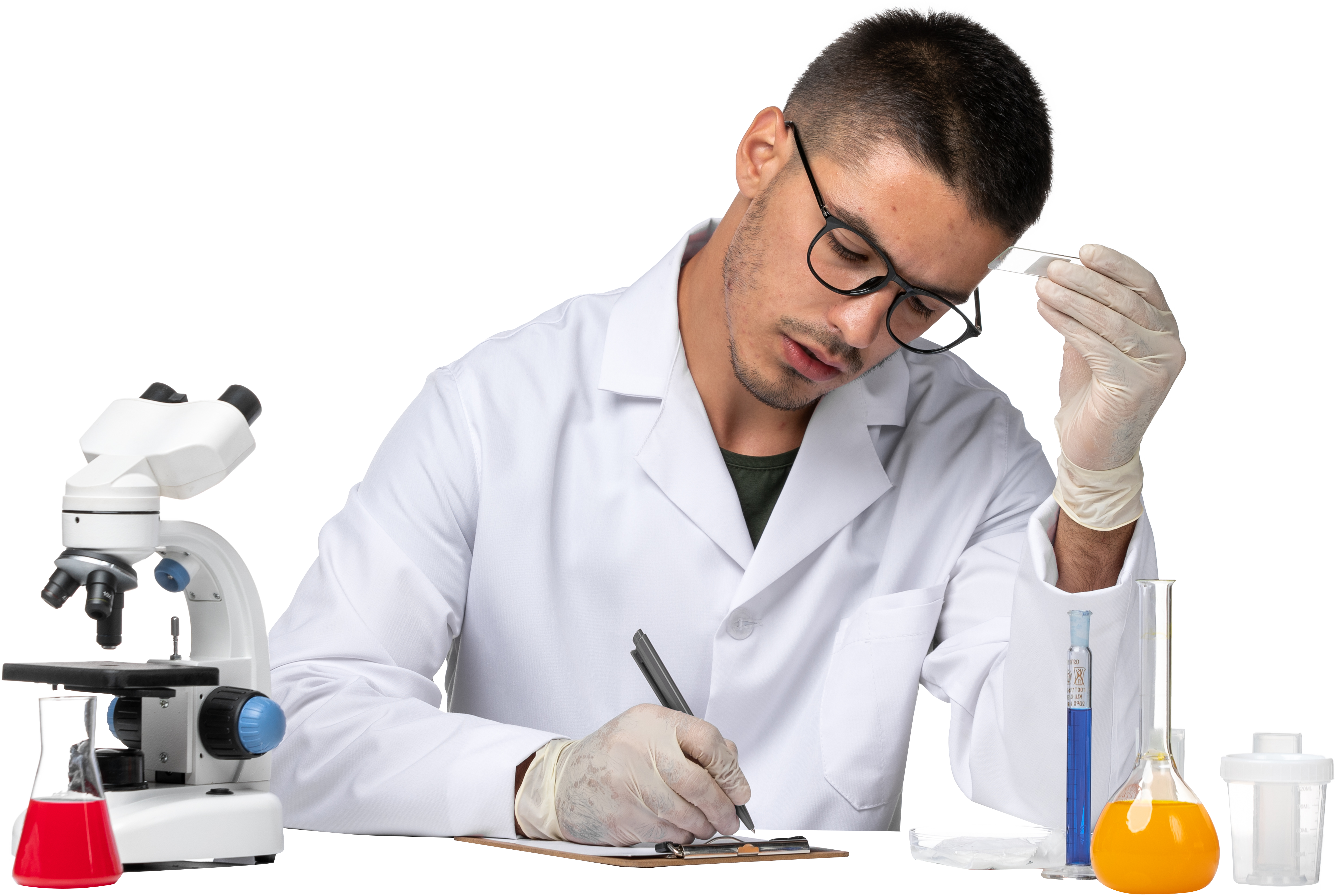 lab